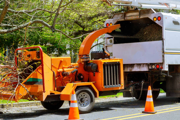 Best Grass Overseeding  in Ramsey, NJ