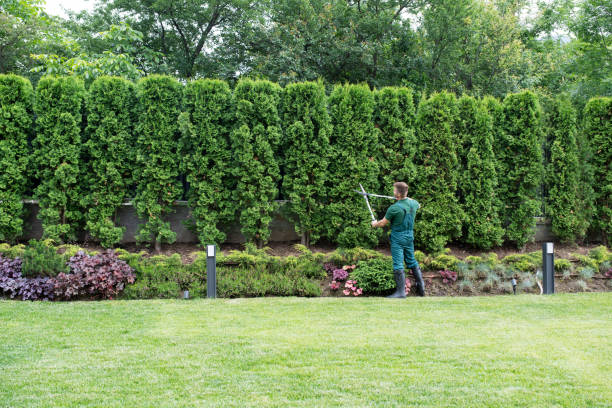 Best Tree Preservation Services  in Ramsey, NJ